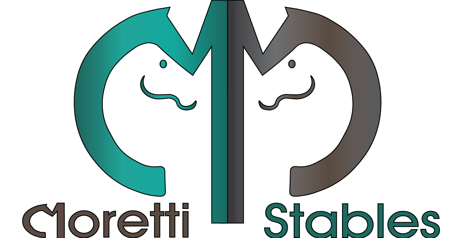 Moretti Stables Logo
